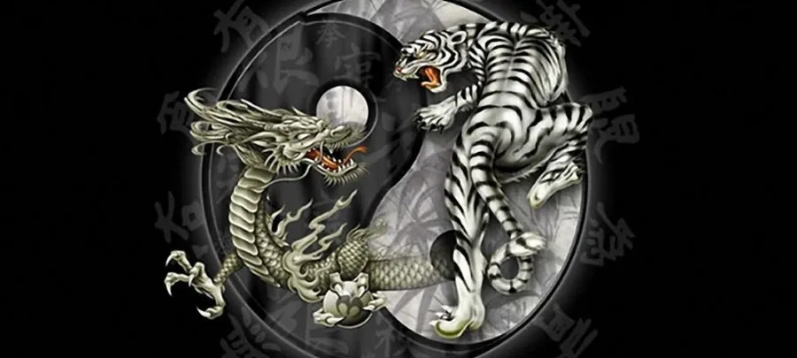 เลือกเล่นไพ่เสือมังกรกับค่ายเซ็กซี่ ความเพลิดเพลินที่ไม่ควรพลาด